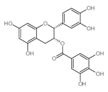 Epicatechin gallate 98_ cas 1257_08_5